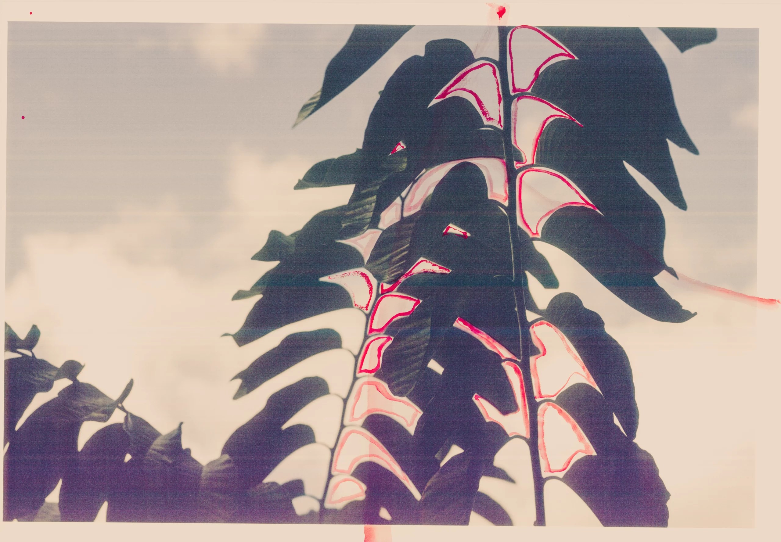 Higanbana — piece 04