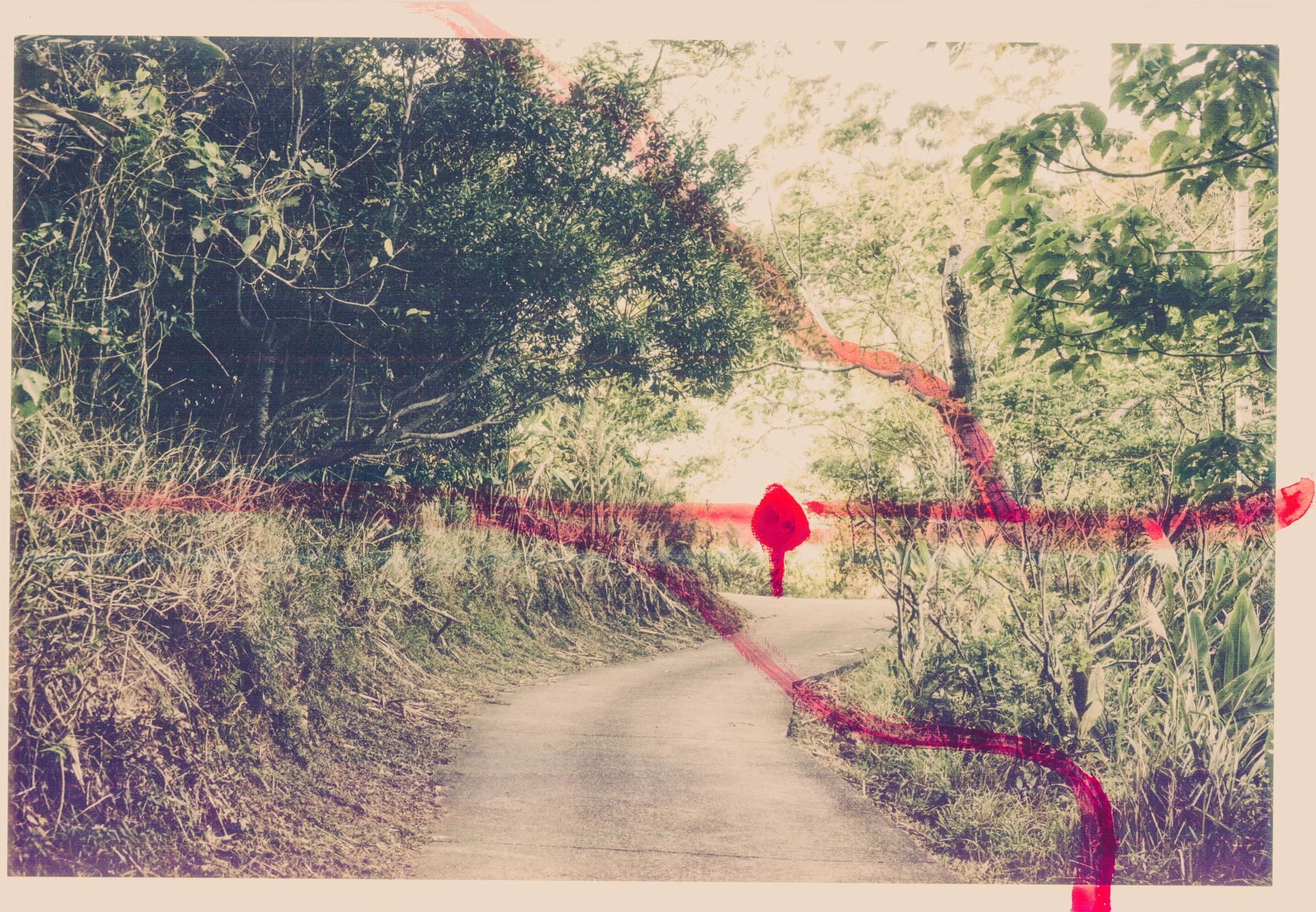 Higanbana — piece 08