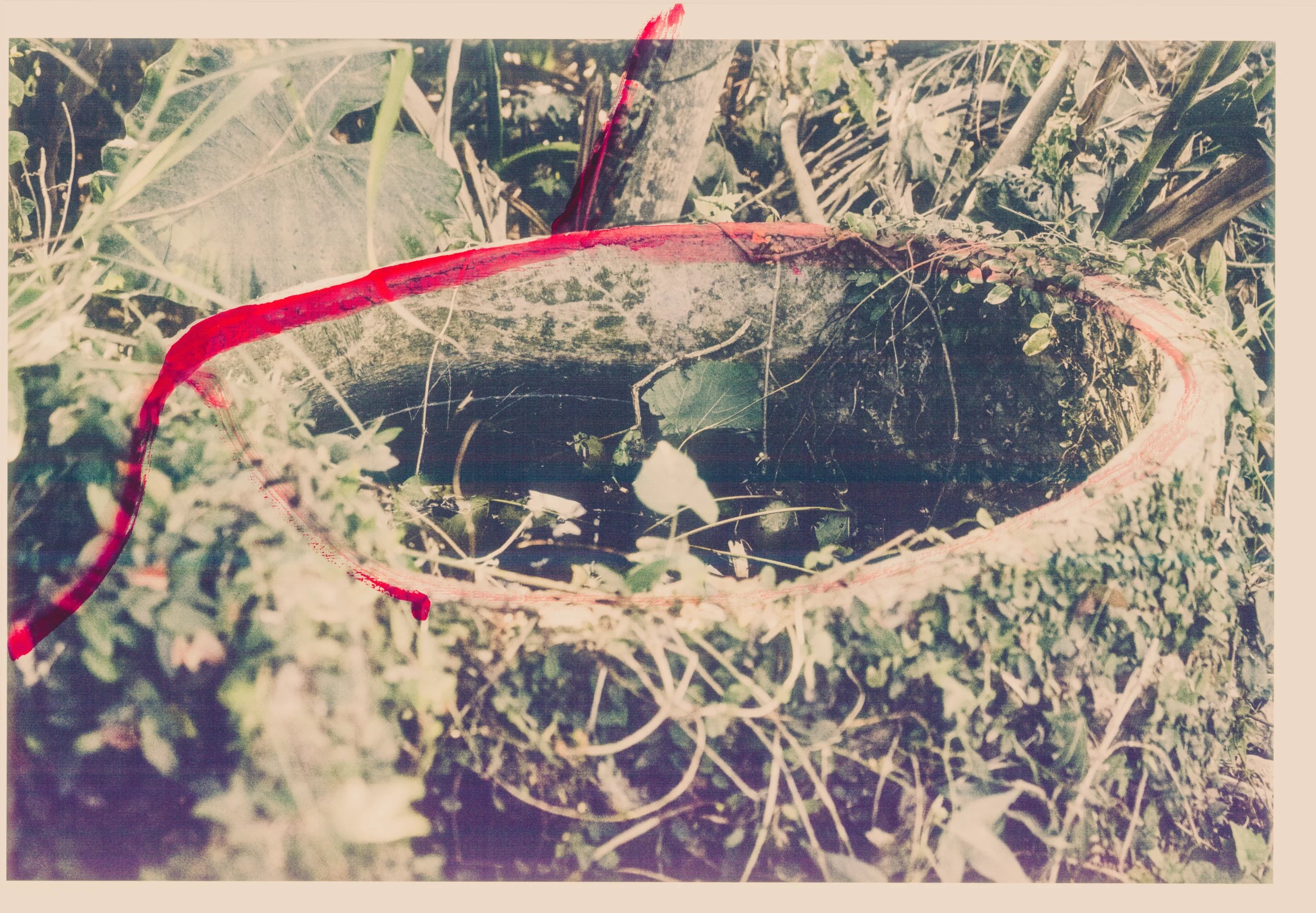 Higanbana — piece 12